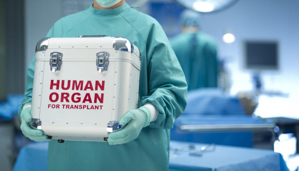 Les religions face au don d’organes / ©iStock/Sturti