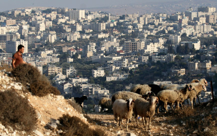 Un berger palestinien sur les hauteurs de Bethléem / Keystone/ Abir Sultan